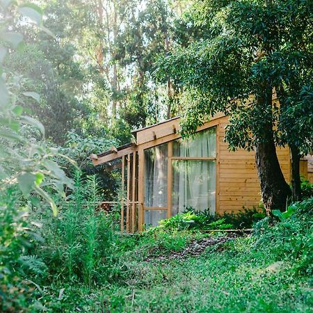 Cabanas Da Viscondessa Urzelina المظهر الخارجي الصورة