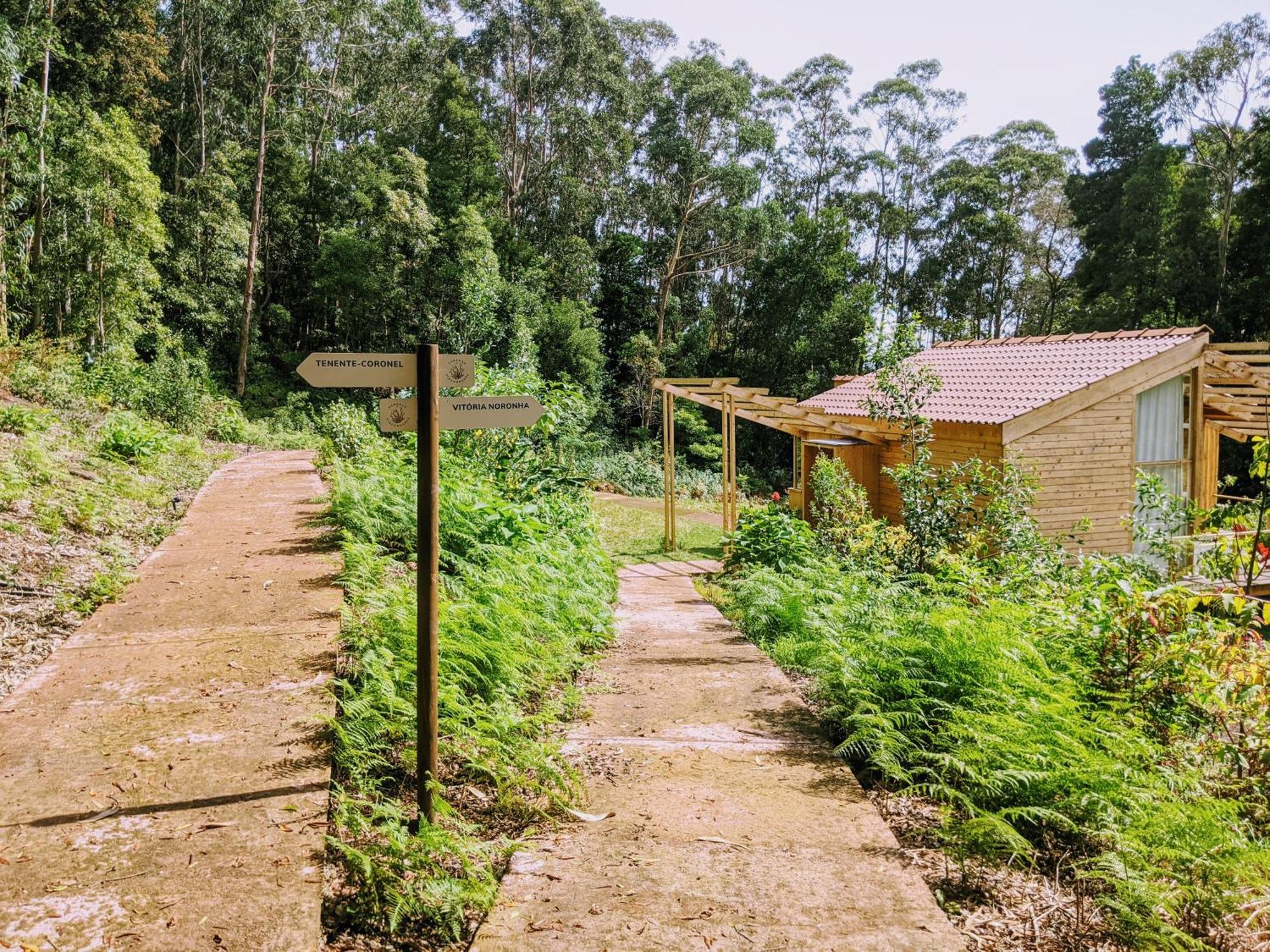Cabanas Da Viscondessa Urzelina المظهر الخارجي الصورة